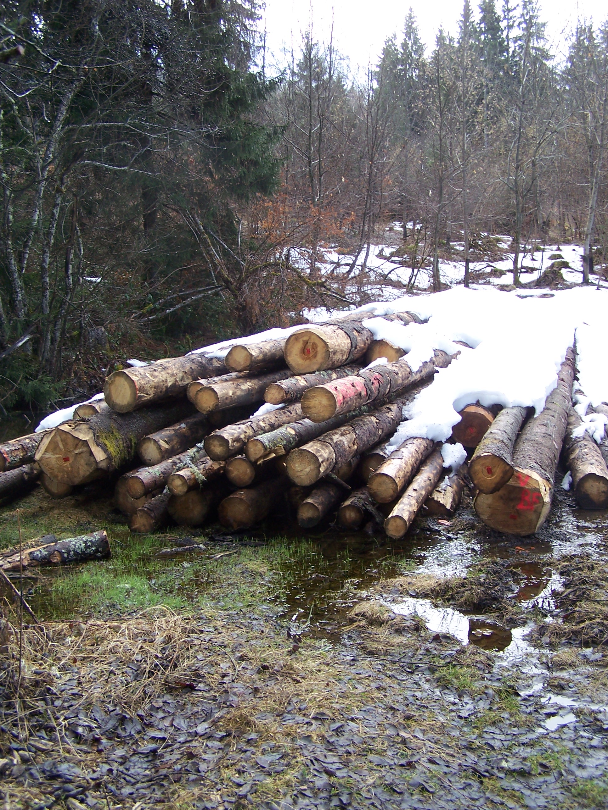 Photo n° 4 de l'avis de Jean-Yves.E fait le 19/02/2022 à 12:18