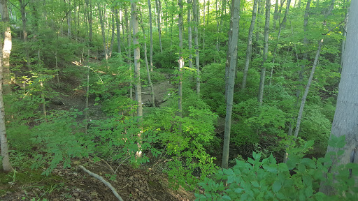 Park «Heritage Oak Park», reviews and photos, 4601 US-42, Mason, OH 45040, USA