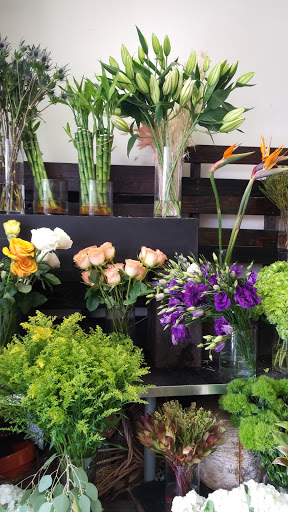 Florist «Natural Simplicity», reviews and photos, 223 Main St, El Segundo, CA 90245, USA
