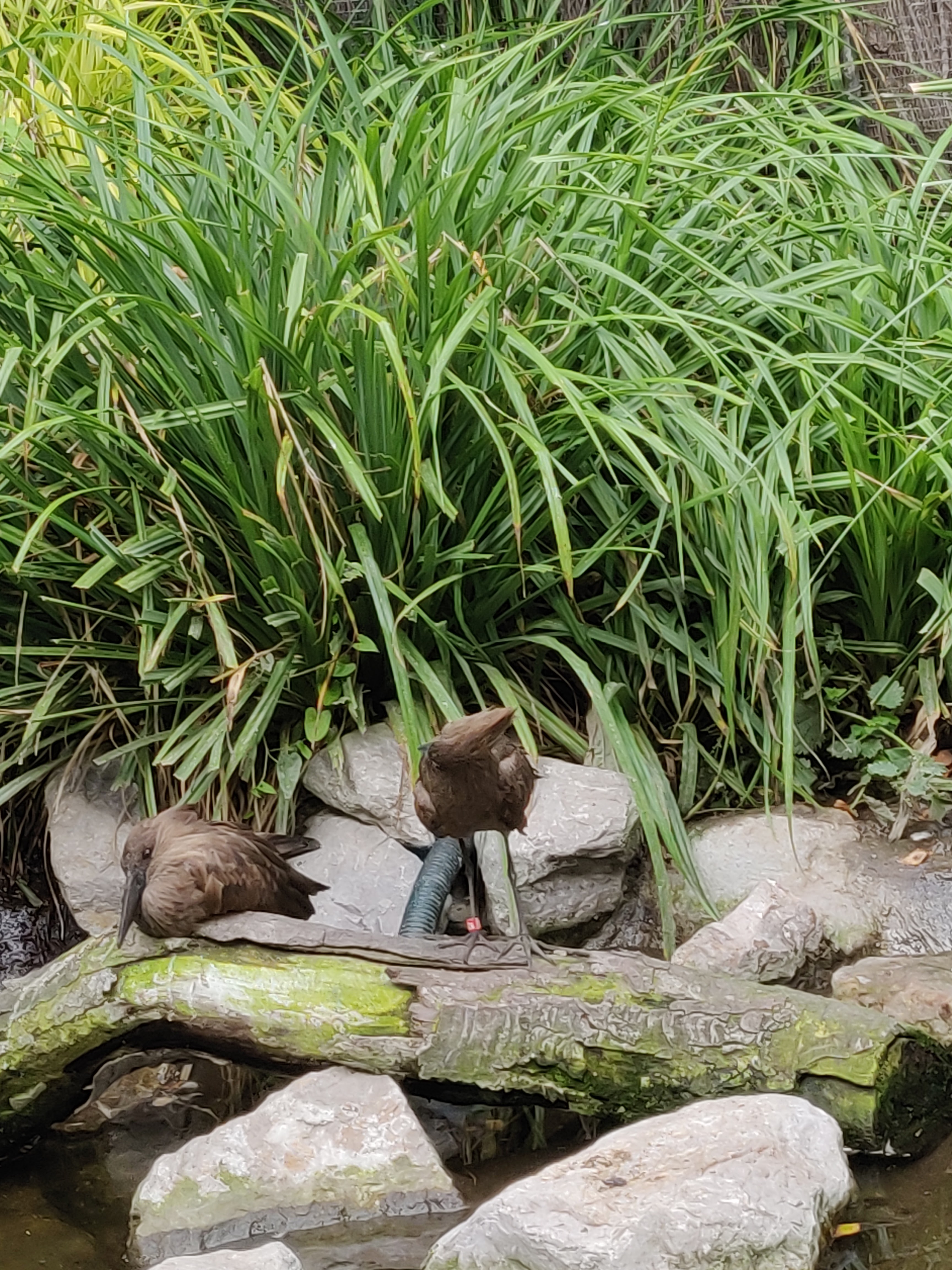 Photo n° 6 de l'avis de Amélie.e fait le 31/08/2019 à 17:39