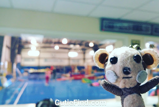 Gymnastics Center «Gymnastics Inc», reviews and photos, 80 N Dell Ave # 13, Kenvil, NJ 07847, USA