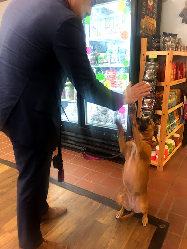 Pet Supply Store «Stately Pet Supply», reviews and photos, 515 S State St, Clarks Summit, PA 18411, USA