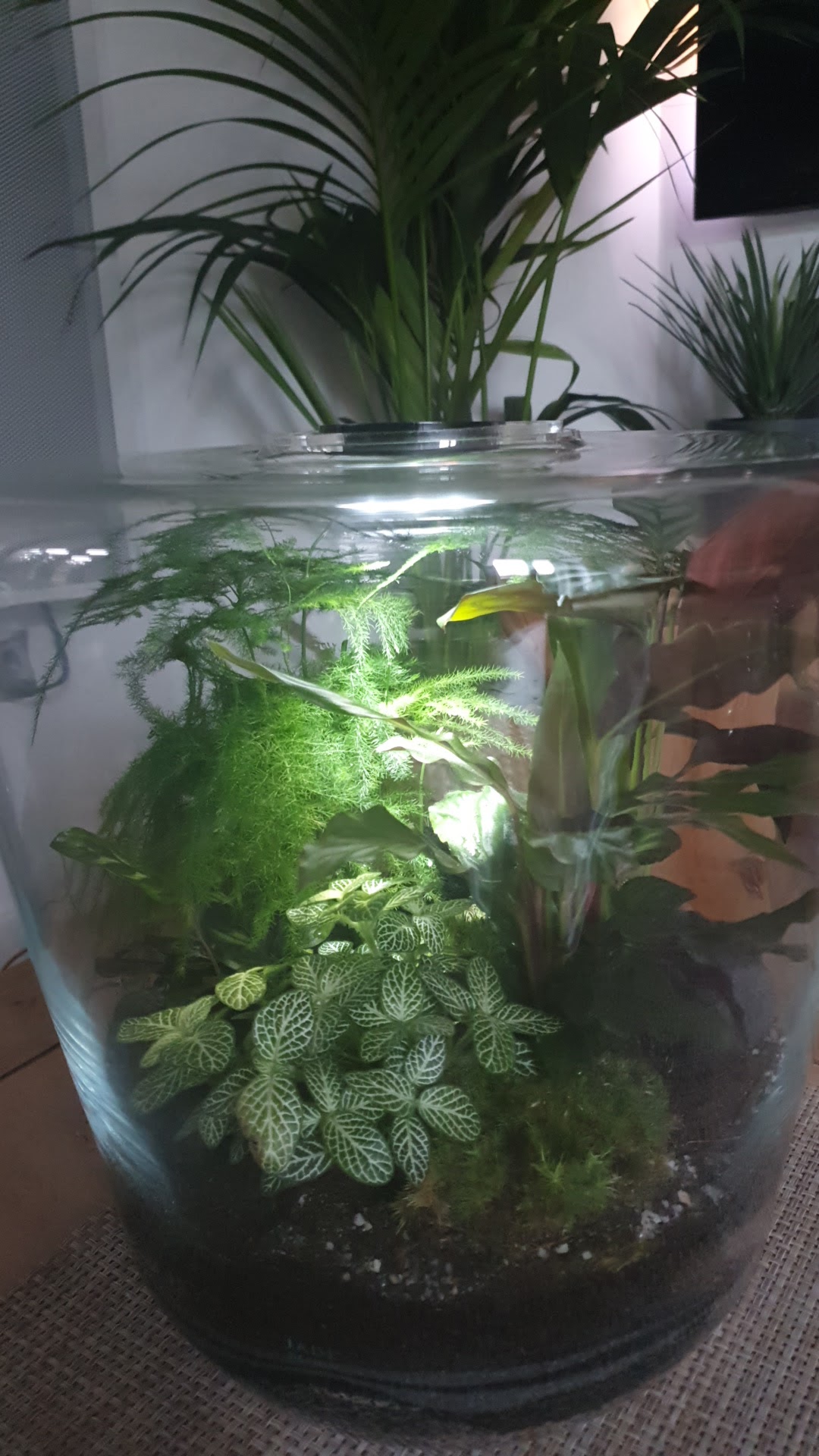 Photo n° 2 de l'avis de Maud.o fait le 28/02/2020 à 16:18