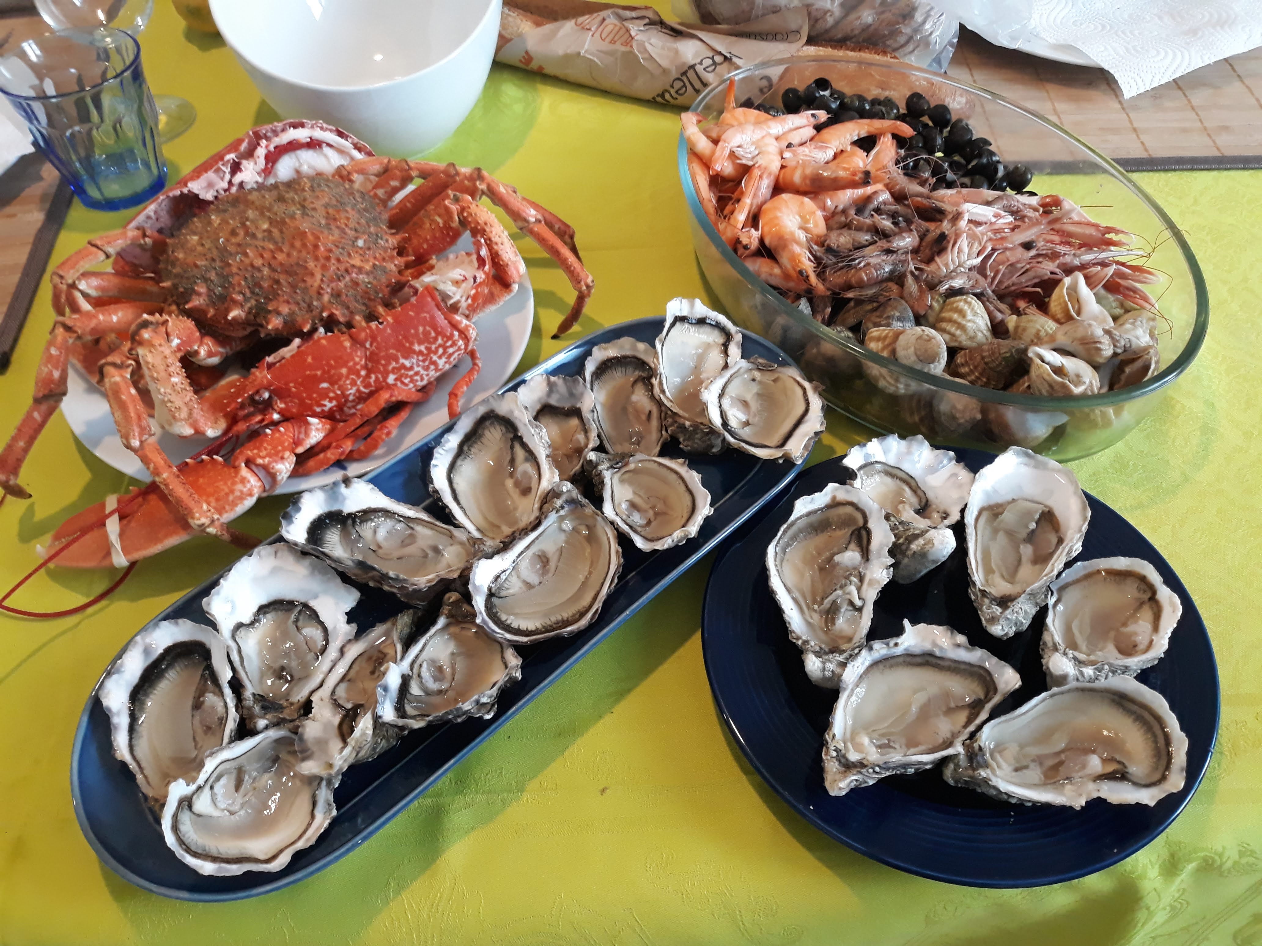 Photo n° 1 de l'avis de Yann.8 fait le 19/08/2019 à 13:41