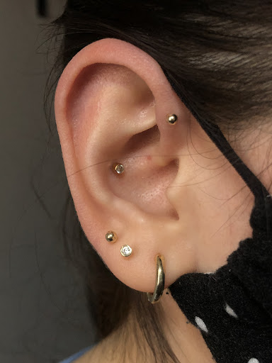 Explore zebra tattoo ideas, creative tattoo ideas in Rochester, available at Andie Brittaine Piercings & Permanent Makeup