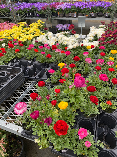 Home Improvement Store «The Home Depot», reviews and photos, 11616 Aurora Ave N, Seattle, WA 98133, USA