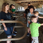 Photo n°7 de l'avis de Mariafiorenza.l fait le 29/07/2018 à 15:26 sur le  Agritur Malga Arpaco à Castello Tesino