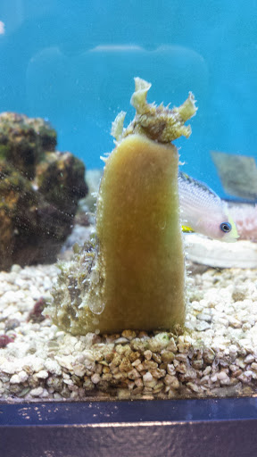 Pet Supply Store «Petco Animal Supplies», reviews and photos, 35 Waite Ave N, Waite Park, MN 56387, USA