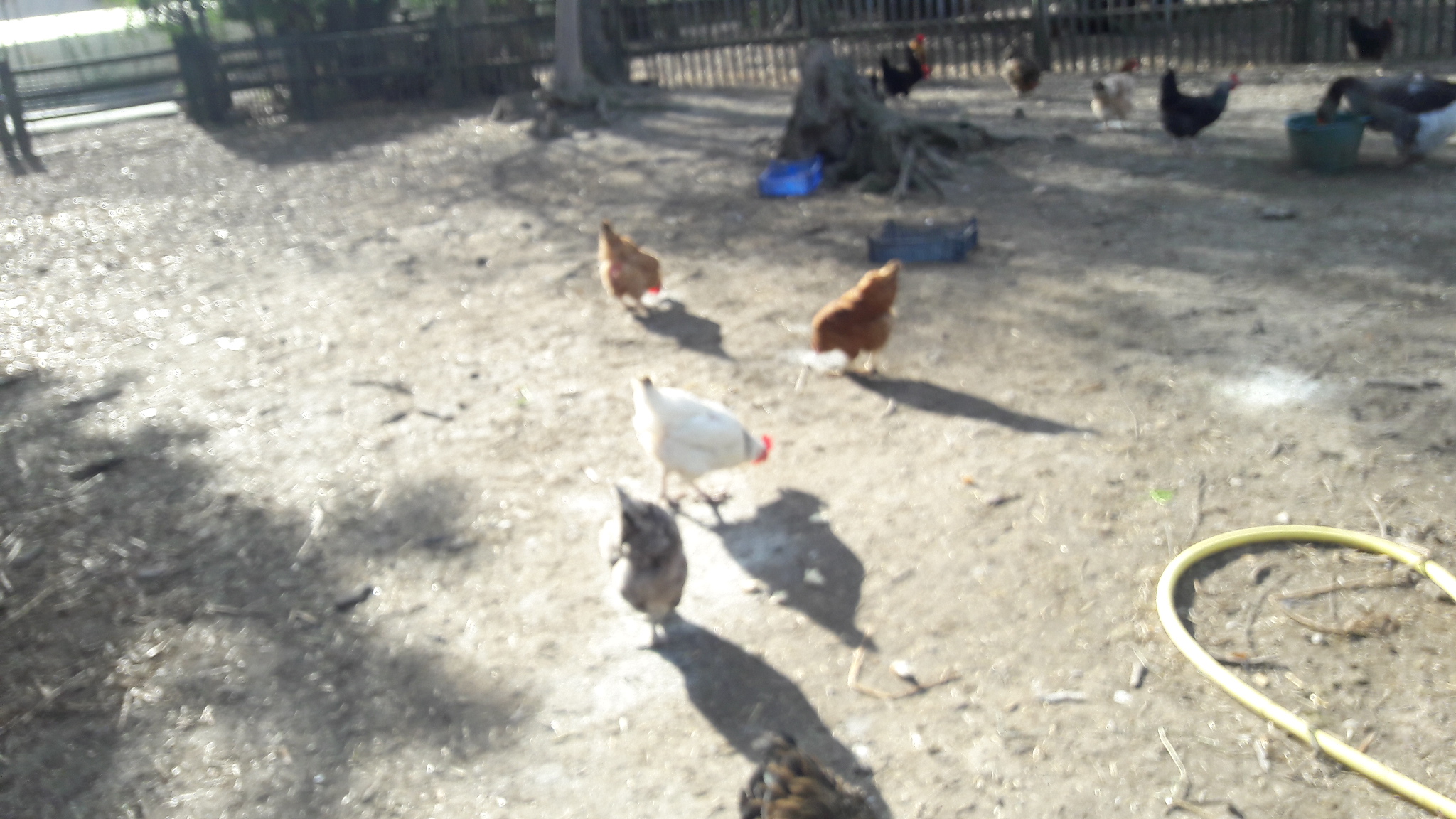 Photo n° 8 de l'avis de Virginie.a fait le 25/04/2017 à 20:00