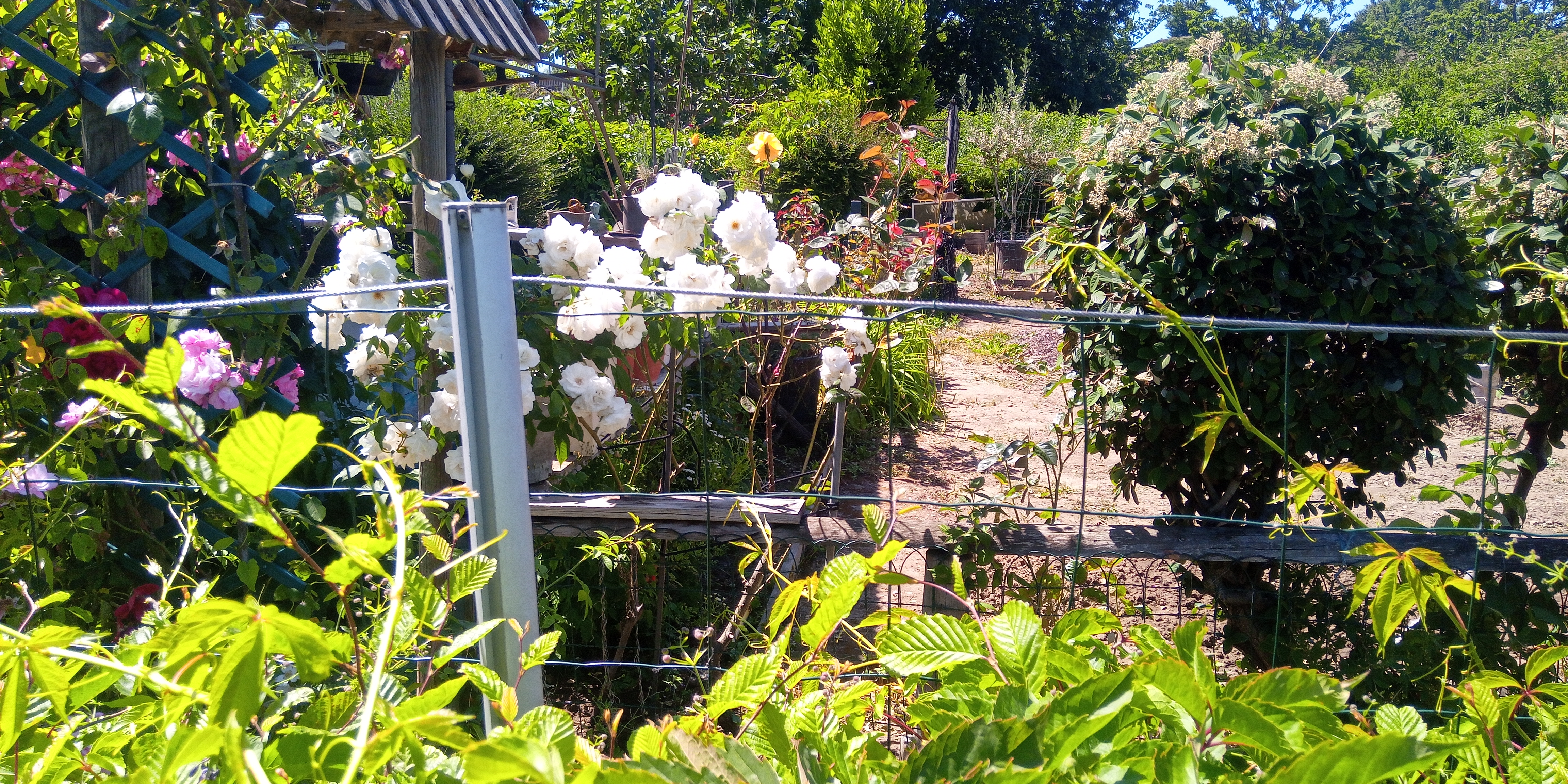 Photo n° 13 de l'avis de Didier.a fait le 29/05/2020 à 14:18