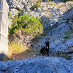 Photo n° 23 de l'avis de Christophe.e fait le 12/08/2020 à 09:21 pour Camping le Galetas à Aiguines