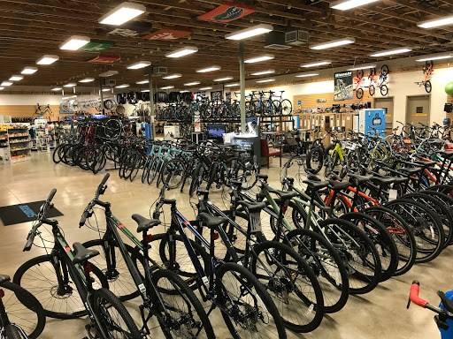 Bicycle Store «Playtri», reviews and photos, 7171 Colleyville Blvd, Colleyville, TX 76034, USA