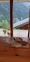 Plats et boissons hôtels Résidence Orelle 3 Vallées 73140 Orelle (miniature)