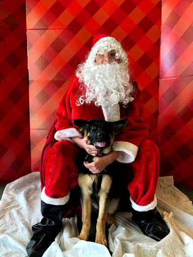 Pet Supply Store «Petco Animal Supplies», reviews and photos, 30697 US Hwy 19 N, Palm Harbor, FL 34684, USA