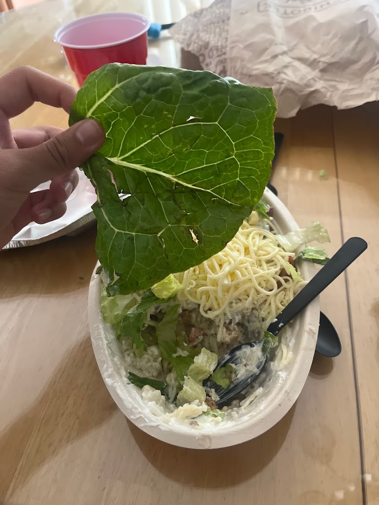 Chipotle Mexican Grill 11967