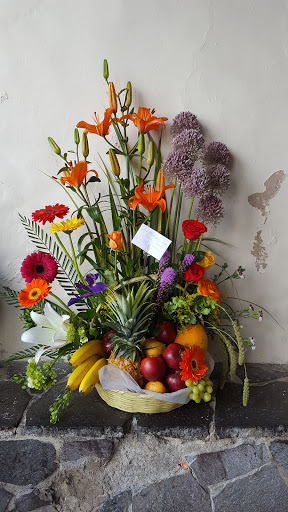 Florería Primavera – Tula