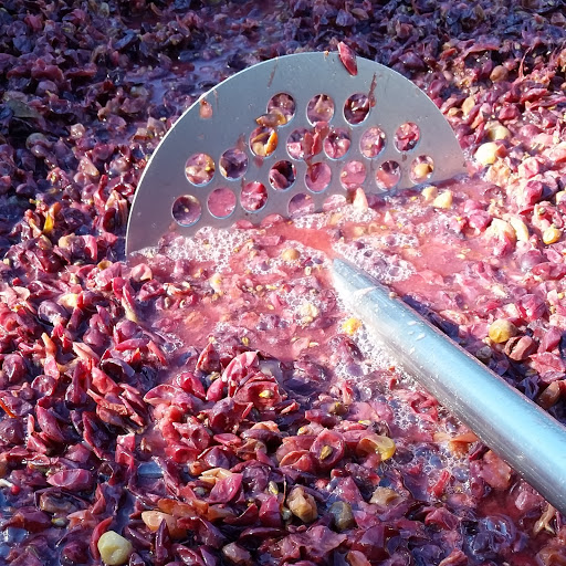 Winery «Zoll Cellars - Winery», reviews and photos, 110 Old Mill Rd, Shrewsbury, MA 01545, USA