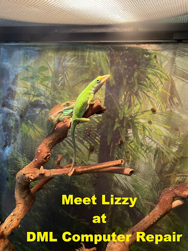 Computer Repair Service «DML Computer Repair», reviews and photos, 223 N Wahsatch Ave, Colorado Springs, CO 80903, USA