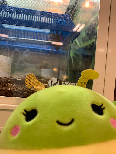 Pet Supply Store «PetSmart», reviews and photos, 2017 N Prospect Ave, Champaign, IL 61822, USA