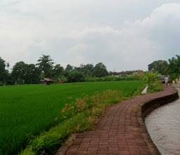 Dalung Jogging Track photo