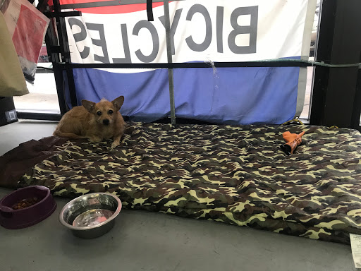 Bicycle Store «Houston Cycling Centres Southwest», reviews and photos, 6607 S Braeswood Blvd, Houston, TX 77096, USA