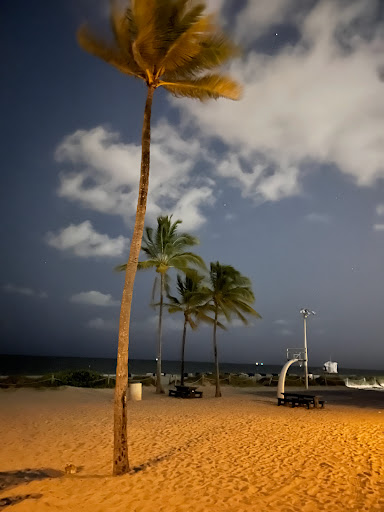 Gym «Calisthenics Park Fort Lauderdale beach», reviews and photos, 700-790 S Fort Lauderdale Beach Blvd, Fort Lauderdale, FL 33316, USA