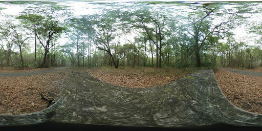 Nature Preserve «Gator Creek Reserve», reviews and photos, 9725 US Hwy 98 N, Lakeland, FL 33809, USA