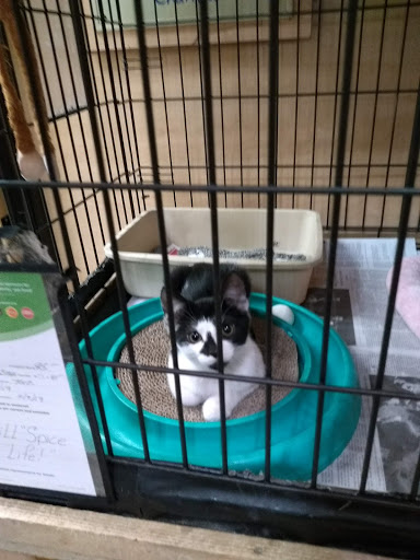 Pet Supply Store «PetSmart», reviews and photos, 637 Woodbury Glassboro Rd, Sewell, NJ 08080, USA