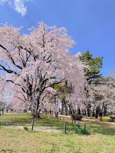 敷島公園