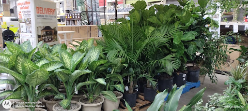 Home Improvement Store «The Home Depot», reviews and photos, 601 Woollomes Ave, Delano, CA 93215, USA