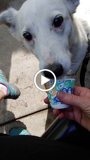 Coffee Shop «Morrison Joe», reviews and photos, 211 Bear Creek Rd, Morrison, CO 80465, USA