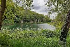 Creswell Crags image