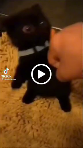 Drug Store «Walgreens», reviews and photos, 9 N Union St, Aurora, IL 60505, USA