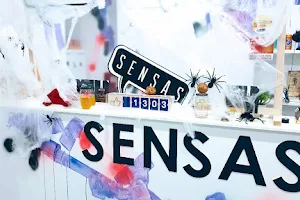 SENSAS MASSY image