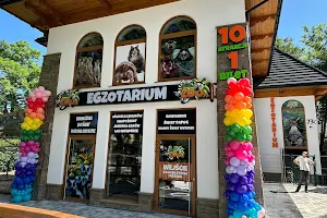 MiniZoo.pl Zakopane - Egzotarium - Krupówki 73c image