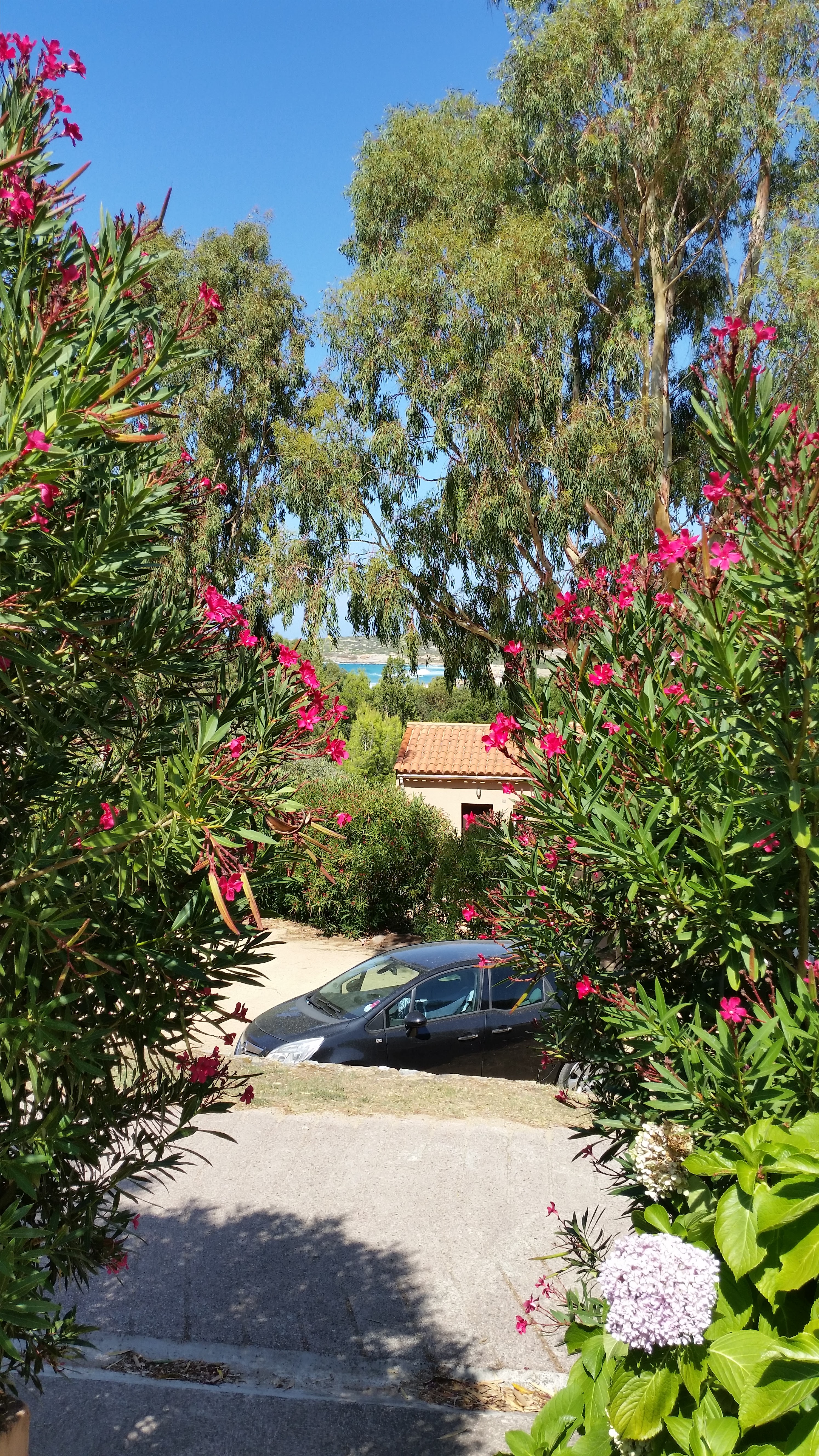 Photo n° 1 de l'avis de tiziana.a fait le 17/08/2019 à 11:47