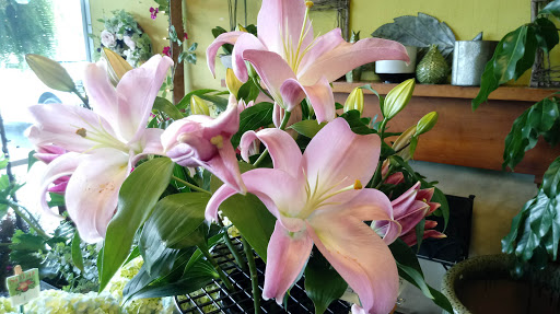 Florist «Flowers & Plants Etc», reviews and photos, 1378 Chain Bridge Rd, McLean, VA 22101, USA