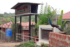Vrukshavalli Resort image