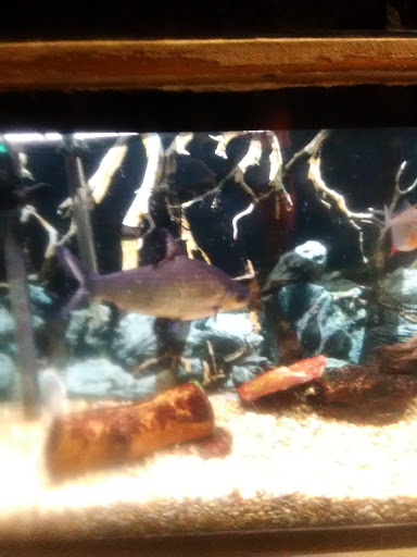 Animal House Pets, LLC, 3101 Richmond Rd # 201, Lexington, KY 40509, USA, 