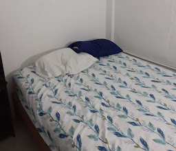 Vela Lounge & Hostel PV photo