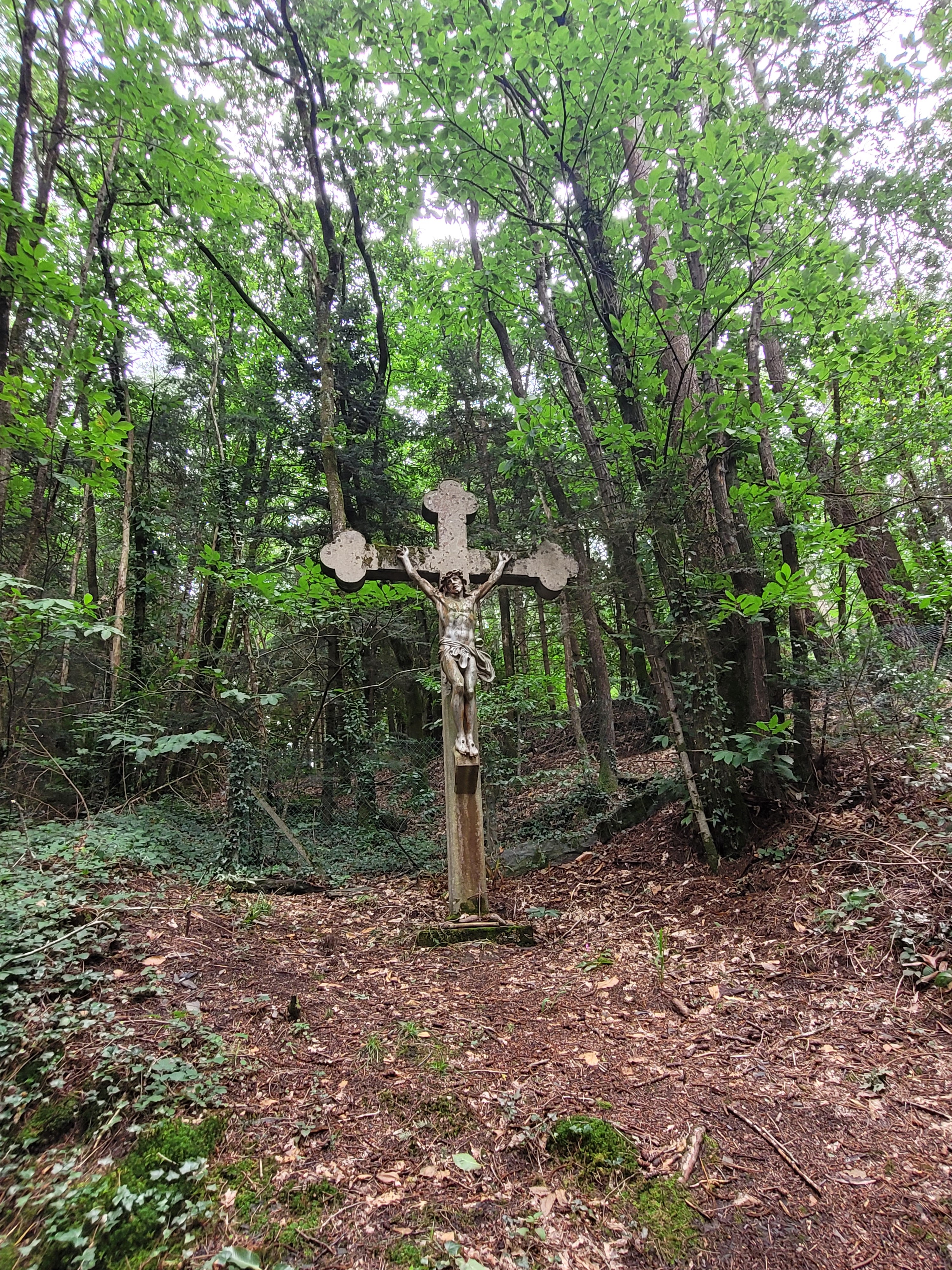 Photo n° 11 de l'avis de Thierry.e fait le 10/08/2023 à 16:54