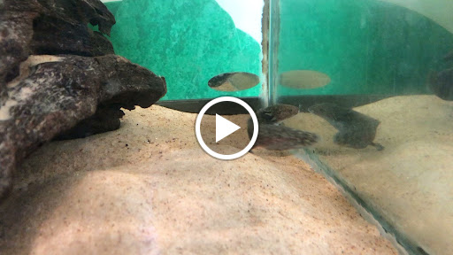 Nature Preserve «Audubon Greenwich», reviews and photos, 613 Riversville Rd, Greenwich, CT 06831, USA