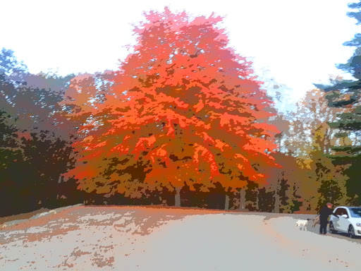 Nature Preserve «Liberty Reservoir», reviews and photos, 5685 Oakland Rd, Eldersburg, MD 21784, USA