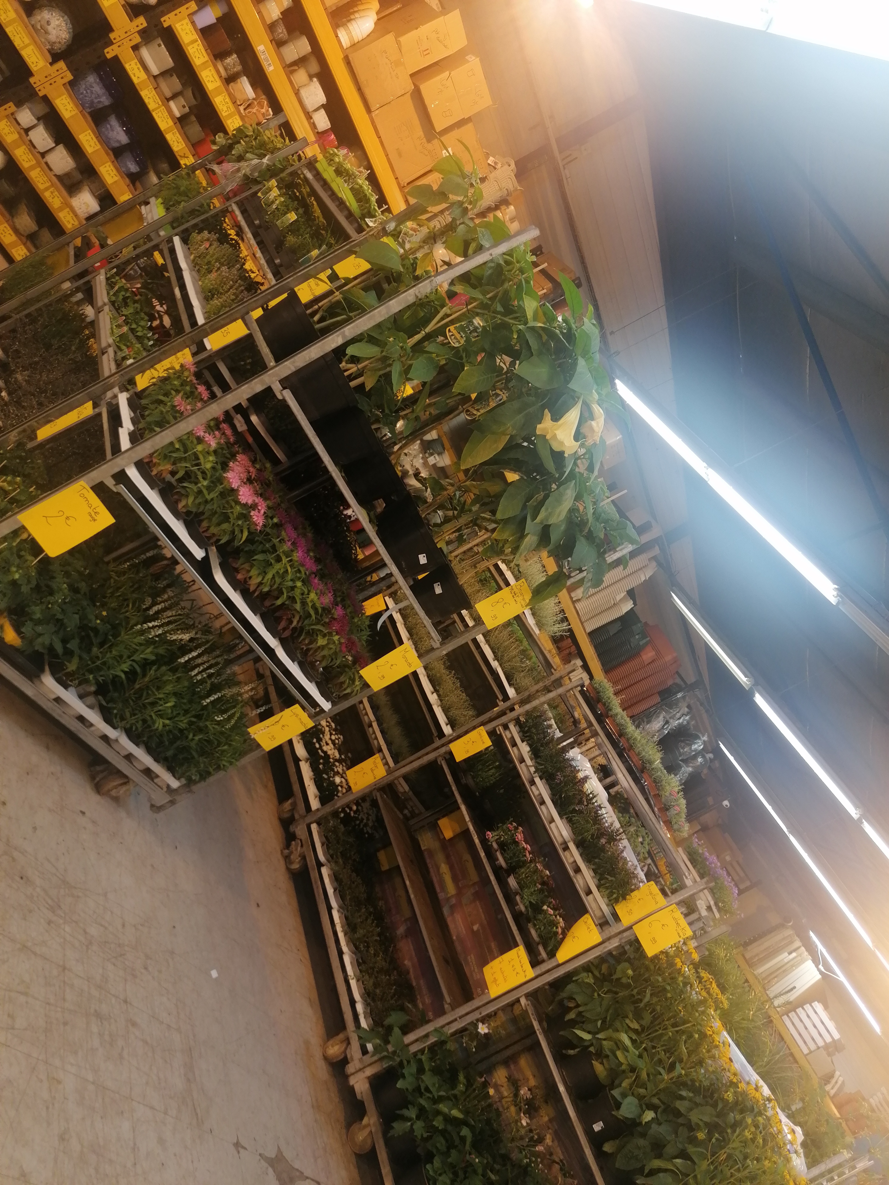 Photo n° 3 de l'avis de Nathalie.e fait le 05/04/2019 à 20:38