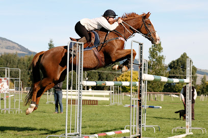 Zoe Miller Horse Riding Instructor