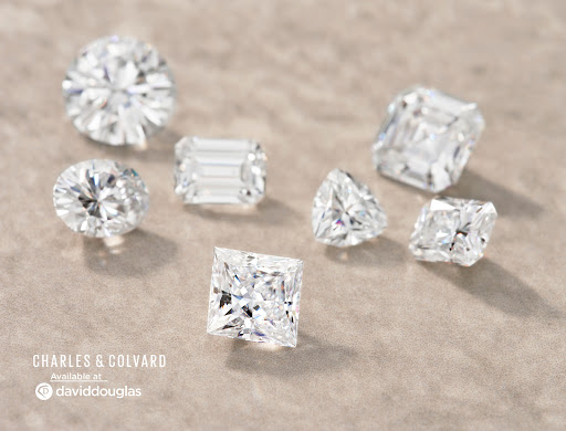 Jewelry Store «David Douglas Diamonds & Jewelry», reviews and photos, 3605 Sandy Plains Rd #260, Marietta, GA 30066, USA