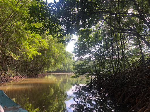 Top 20 cửa hàng play Huyện Cần Giờ Hồ Chí Minh 2022