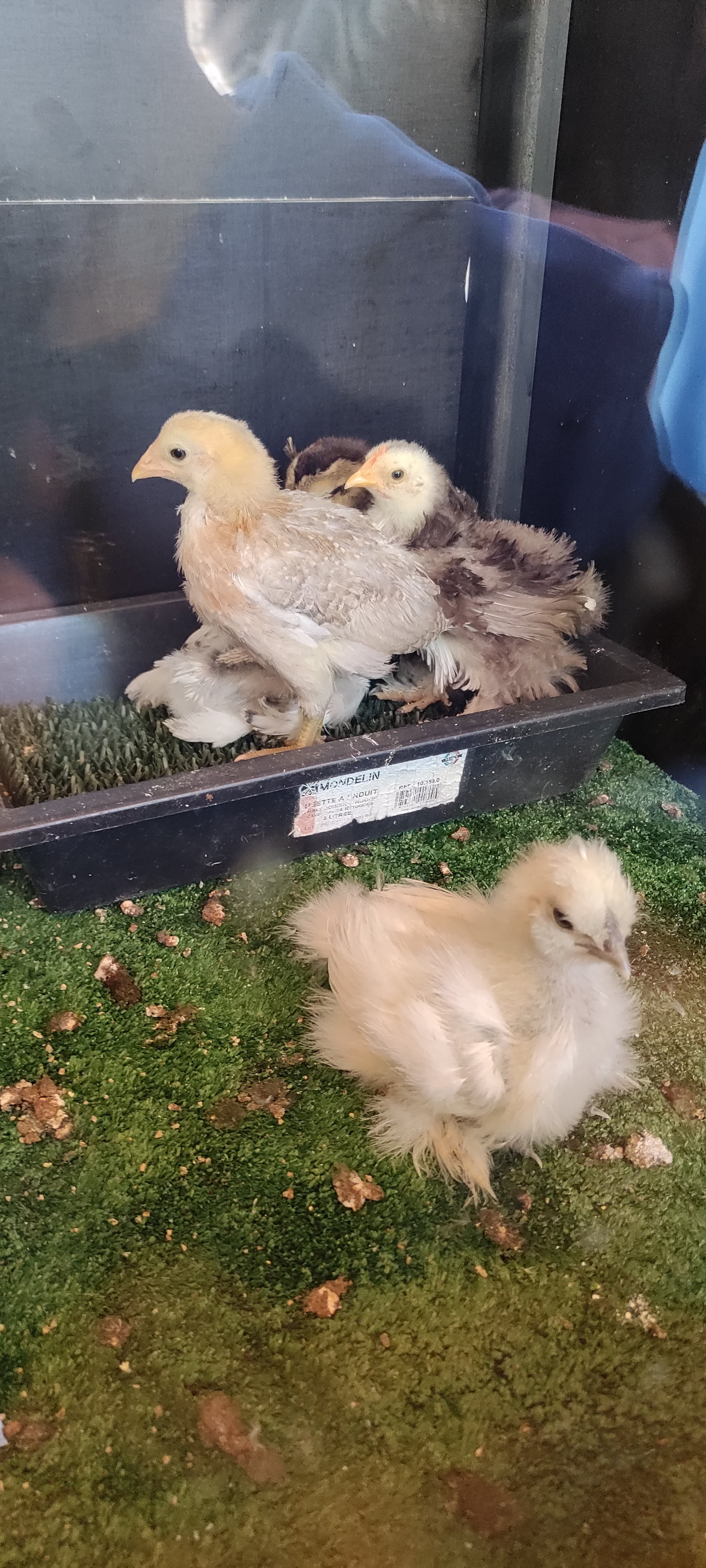 Photo n° 17 de l'avis de Alexia.a fait le 20/04/2023 à 07:36