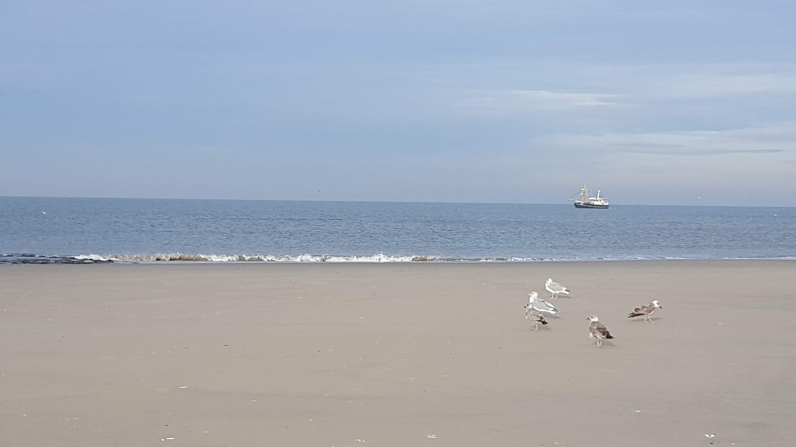 Foto av De Hors med lång rak strand
