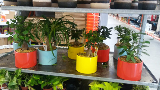 Shopping Mall «Riverstone Plaza», reviews and photos, 1451 Riverstone Pkwy, Canton, GA 30114, USA